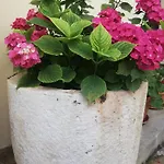 بيت للعطل Relax House Villagge Obrs,riviera Opatija